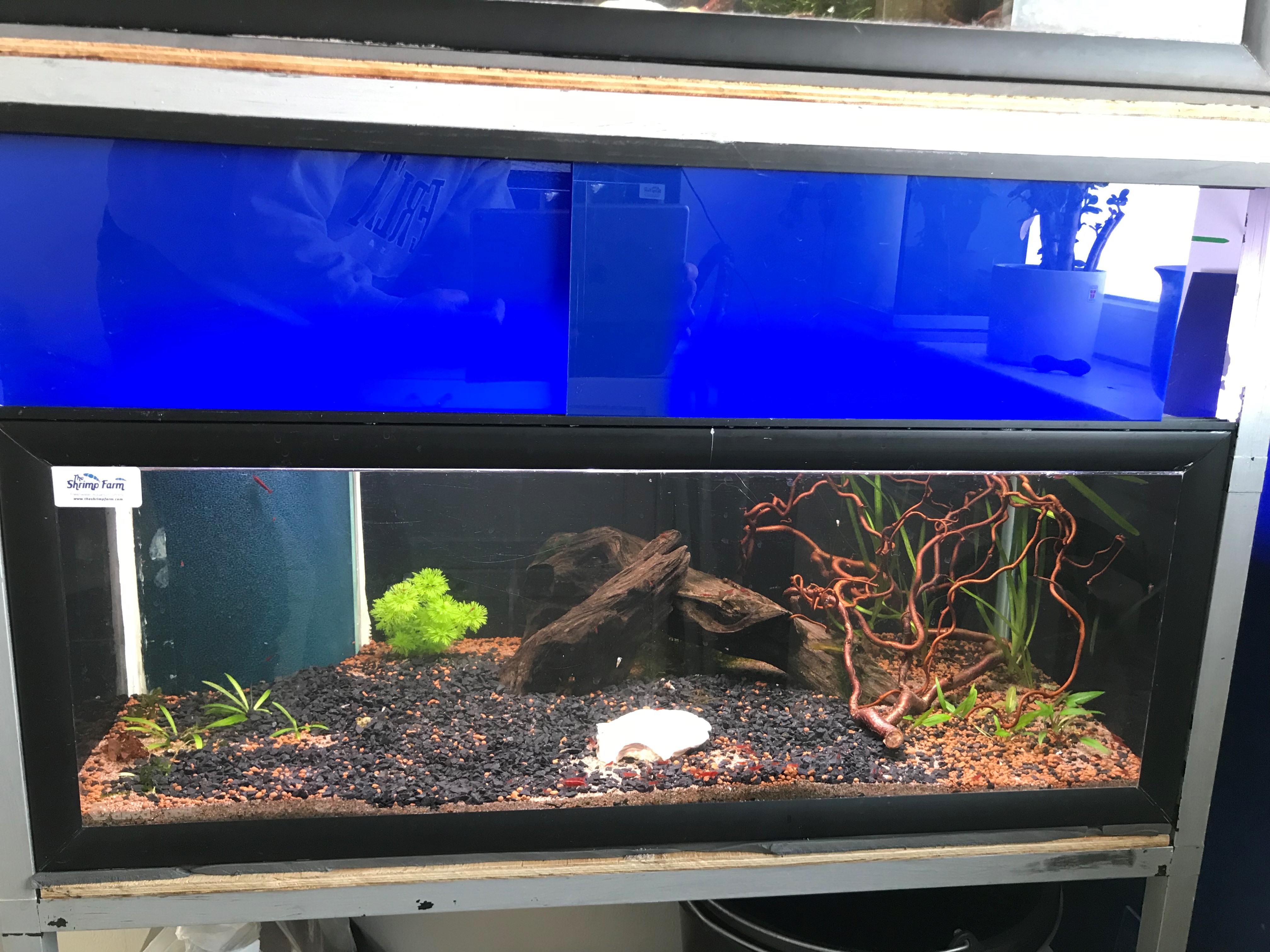 Akvarie led lys til reoler 6 x 128 liter cichlider - Outlight